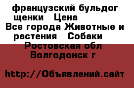 французский бульдог щенки › Цена ­ 50 000 - Все города Животные и растения » Собаки   . Ростовская обл.,Волгодонск г.